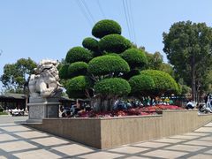-仙岳公园