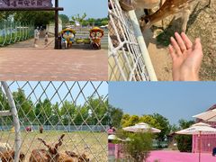 -渔岛海洋度假区