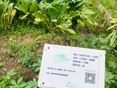 -前小桔亲子创意农场·草莓采摘·露营烧烤