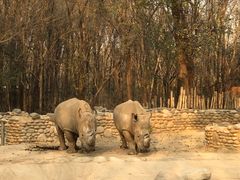 -北京野生动物园