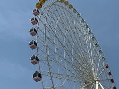 -凤凰欢乐大世界