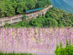 -东莞观音山旅游风景区