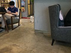 -咖法森林·咖啡  酒吧(天河店)