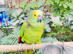 -南宫五洲植物乐园