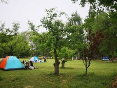 -廊坊市自然公园