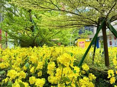 -顺联广场(陈村店)
