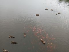 -前关湿地公园