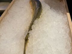 -荣轩(新荣记环球金融中心店)
