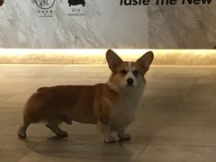 -771餐吧·咖啡·西餐·烤肉(金湖广场店)