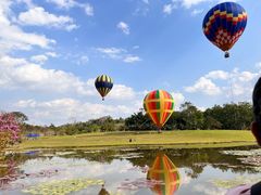 -中国科学院西双版纳热带植物园