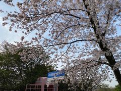 -上海辰山植物园