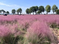 -汉长安城未央宫国家考古遗址公园