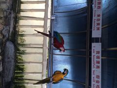 iphone_upload_pic-百鸟园