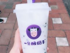 -一只酸奶牛(八一路店)