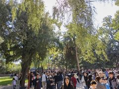 -晋祠公园