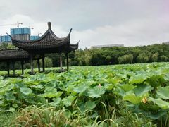 -高子水居
