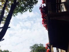 门口-Mammamia意大利餐厅(阳春巷店)