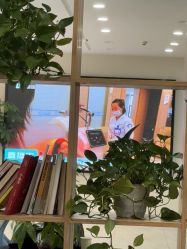 点击看大图 -碧莲盛·不剃发植发