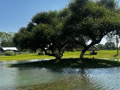 -夏河溪乡野公园