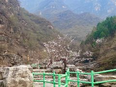 -孤山寨风景区