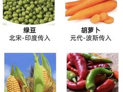 -中国农业博物馆