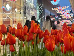 -星巴克臻选(成都太古里店)