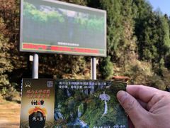 -山王坪喀斯特国家生态公园