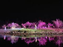 -常德桃花源景区