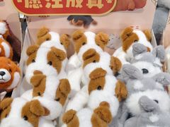 -京北大世界