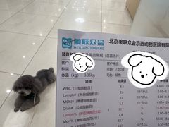-美联众合动物医院·24h京西诊疗中心