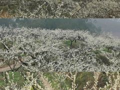 -松花湖风景名胜区