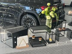 -奔驰利星行(北京花乡店)