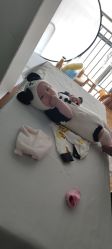 -童趣自然光儿童摄影工作室