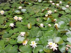 -佛山市第一中学