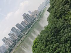 -李子坝梁山鸡(李子坝大鸡哥店)