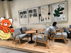 景观位-森茶(湛江万达店)