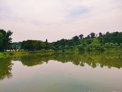 -宜兴龙背山森林公园