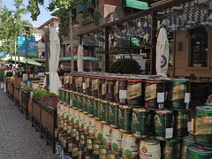 -天津意大利风情旅游区