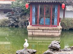 -祝家花園(伯渎港店)