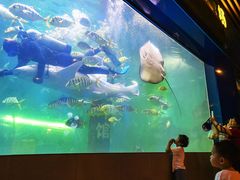 -洛阳龙门海洋馆