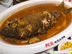 红烧黄河鲤鱼-阿五黄河大鲤鱼(纬三路店)