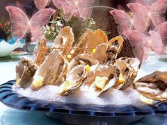 生吃新西兰生蚝-上宴精品海鲜姿造(晶融汇旗舰店)