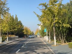 -大学城夜市