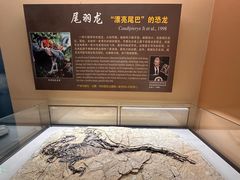 -辽宁古生物博物馆