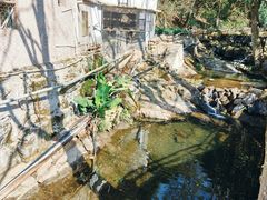 -灵光寺