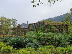 -南沙蒲洲花园