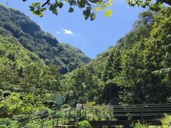 -藏龙百瀑风景区