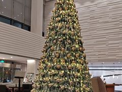 -天津海河悦榕庄·Lobby Lounge大堂吧