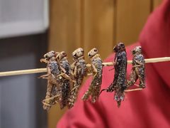 蚂蚱-小寒羊烧烤(凯瑞时代大厦店)