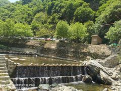 -少华山国家森林公园